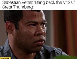 Say no more haircut hahhaaha #memes #meme #funny #lol #trending #funnymemes #relatable. Sebastian Vettel Bring Back The V12s Greta Thunberg Stressed Starecat Com