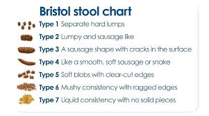 Bristal Stool Chart Lifewinner Info