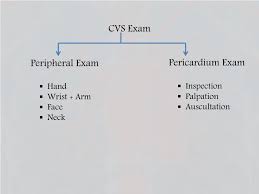 The dot physical is a medical examination designed to ensure that a driver is medically qualified and able to all drivers operating vehicles weighing 10,000 lbs or more will be required to be medically certified. Ppt Cvs Physical Examination Powerpoint Presentation Free Download Id 2316484