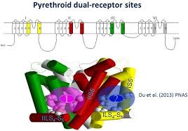 Image result for Pyrethroid