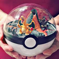Pokeball Terrariums Pokemon Terrarium Pokemon Craft Pokemon