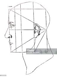 Proportions Of Head By Leonardo Da Vinci In A Vintage Book Stock  Illustration - Download Image Now - iStock