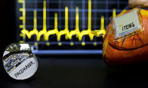 Animated explanation of the mechanics of the human heart, and the when the sinoatrial node fails to function correctly an artificial pacemaker can be fitted to help regulate the. Piggy Pacemaker Is Powered By The Beating Heart Scimex