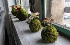 Teens: Kokedama with Tower Hill