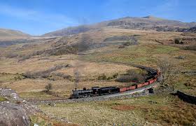 Dave Bowles's favorites