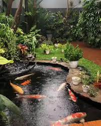 There S Just Something About Koi Ponds And Rainy Days Video Waterfalls Backyard Fish Pond Gardens Backyard Garden Design