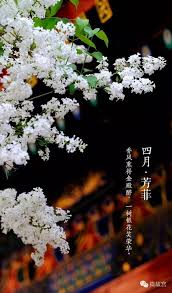 花 写 ღ su mar 17 2019 ॐ ڿڰ 真 ฬ phong cảnh chụp ảnh phong cảnh phong cảnh trừu tượng