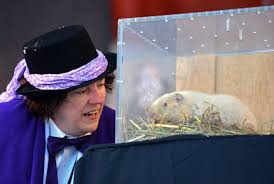 I traveled to wiarton, ontario to shoot this piece about the wiarton willie festival. Forecasting Groundhog Wiarton Willie Dies At 13 Citynews Toronto