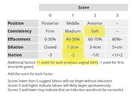 Image result for Bishop Score