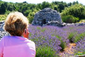 Lavender Fields Forever Walk Hvar Tours