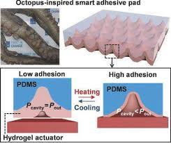 It changes shape so that it can create a seal around an object. Suction Cup Mat Based On Octopus S Suckers Developed To Build Flexible Pressure Sensors
