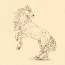 How to Draw Furries aka Anthropomorphic Characters