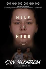 Sky Blossom Press Kit