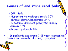 Renal disease in patients infected with hepatitis and human immunodeficiency virus. Renal Failure Transplantation Renal Failure Transplantation Ppt Download