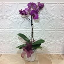You will find budget sympathy flowers in la crosse here. Sympathy And Funeral Flowers Delivery La Crosse Cottage Garden Floral