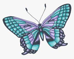 Check spelling or type a new query. Drawing Butterflies Color Butterfly Drawing With Color Hd Png Download Transparent Png Image Pngitem