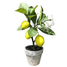 Did you scroll all this way to get facts about bonsai fruit tree? Fake Lemon Tree Bonsai Simulation Artificial Fruit Trees Potted Dining Decoration For Home Party Garden Plants Potting Artificial Plants Aliexpress