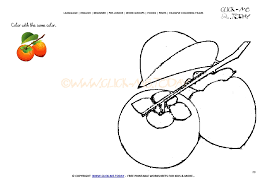 4.5 out of 5 stars. Example Coloring Page Persimmon Color Picture Of Persimmon
