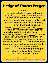 Praying A Hedge Of Thorns Happy Healthy Prosperous Deliverance Prayers Spiritual Warfare Prayers Everyday Prayers