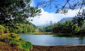Call center wisata ranu pane : 10 Gambar Ranu Pane Lumajang 2021 Rute Jalur Menuju Lokasi