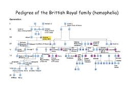 Pedigree Presentation