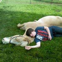 How Would You Spell The Various Sounds A Horse Makes Neighing Whinnying Whickering Quora