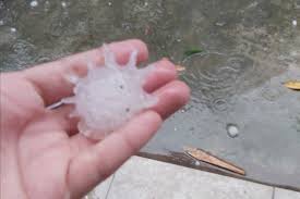 O granizo é uma pedra de gelo que cai durante algumas chuvas; Chuva De Granizo Com Formato De Coronavirus Assombra Moradores Fotos R7 Hora 7