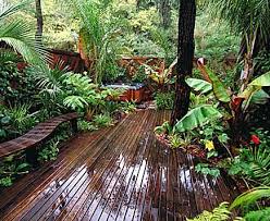 Products Planet Natural Tropical Backyard Indoor Zen Garden Tropical Landscaping