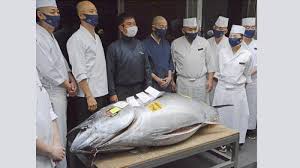We did not find results for: Ikan Tuna Sirip Biru Hanya Laku Rp2 8 Miliar Harganya Turun Dibanding Tahun 2020 Lalu Tribun Batam