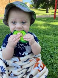 What's everyone's experience with reflux after surgery. My gelding had a  lipoma and 5ft of small intestine removed. He had a few other complications  during surgery that seem to have resolved. He