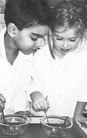 Owl in a day in the Glebe