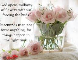 God Opens Millions Of Flowers Without Forcing The Buds It Reminds Us To Unknown Picture Quotes Quoteswave God Words Inspirational Words