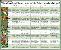 Wichtig ist regelmäßig.das kann täglich sein oder eben wöchentlich mit dem wasserwechsel. Wann Dungen Selbst De