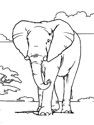 coloriage animaux de la savane a colorier dessin imprimer elephant coloring page african savanna animals fleurs pour adultes