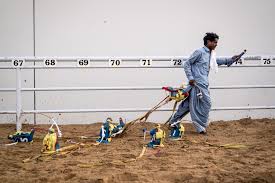 Camel racing is a traditional sport and an integral. Camel Racing Blends Centuries Old Traditions And Modern Technology The New York Times