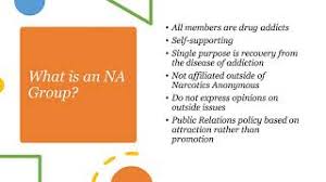 Ip #17, for those in treatment: Literature Northern New York Region Of Narcotics Anonymous