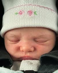 Tanner Cornwell's Instagram, Twitter & Facebook