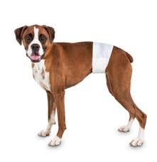 China Disposable Baby Adult Male Dog Wrap Diaper Nappies For Pet Dogs China Wrap Diaper And Pets Diaper Price