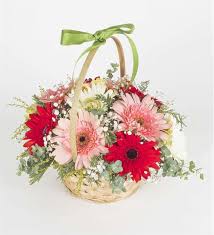 Platformunda satış yapmak isteyenlerden utanmadan %30 komisyon istiyor üstelik sattığınız ürünün parasını 21. Baharin Renkleri Gerbera Cicek Sepeti Sv185 Osevio Com