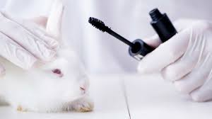 L'oréal has announced that its two new alternatives to animal testing have been adopted by the organisation for economic cooperation and development (oecd). L Oreal Change Org