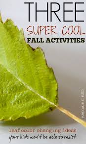 Click for an answer key for the work sheet. Why Leaves Change Color Playdough To Plato