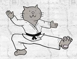Improve your grammar, punctuation and spelling with the karate cats! Karate Cat Stock Illustrations 129 Karate Cat Stock Illustrations Vectors Clipart Dreamstime
