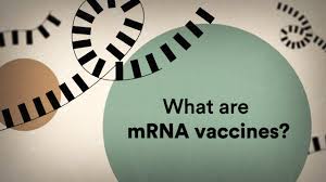 To produce an mrna vaccine, scientists produce a synthetic version of the mrna that a virus uses to. What Are Mrna Vaccines Youtube