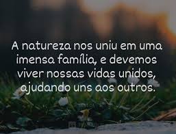25 Frases Que Mostram A Importancia Da Familia Importancia Frases Proverbios Chineses Pensadores