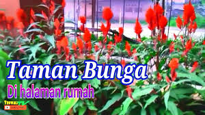 Jika samping rumahmu terlihat seperti kuburan, maka ini adalah saat yang tepat Taman Bunga Di Halaman Rumah Youtube