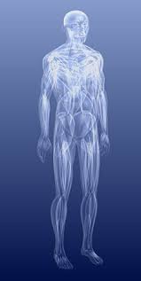 Ablauforganisation, informationsverarbeitung und kommunikation hofmannstr. Mattheus Els Rolfing Munchen Rolfing Yoga Faszien Yoga Und Faszien Training