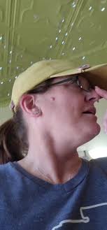 Adirondacks Ny Eclipse Porta John