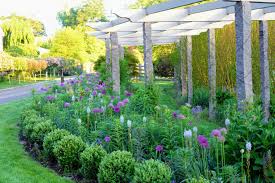 Pattern for fabric flowers martha stewart kayaflower co. My Long Pergola In Spring The Martha Stewart Blog