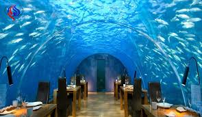 بالصور قريب ا افتتاح أول مطعم تحت الماء قناة العالم الاخبارية
