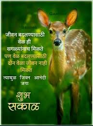 Marati Quotes Good Morning Message Good Morning Quotes Good Morning Messages Morning Quotes Images